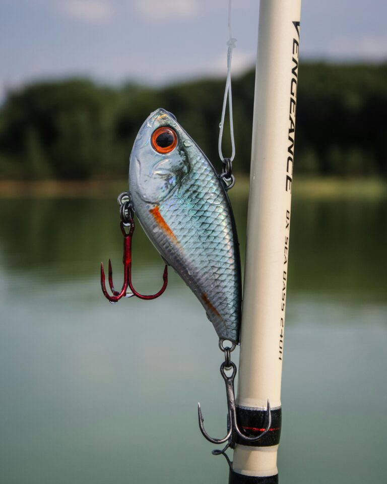 The Best  Salome Fish in 2025